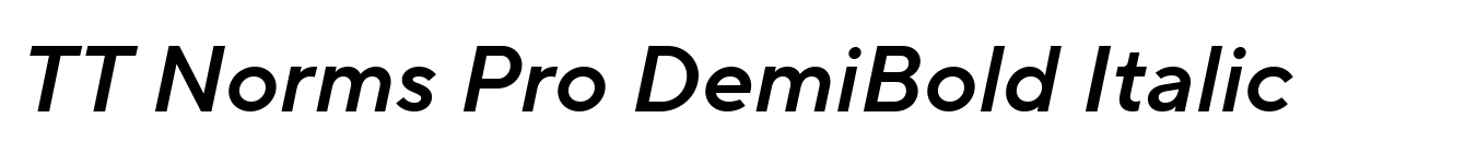 TT Norms Pro DemiBold Italic image
